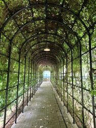 The Topiary (D28), Condominium #502145371